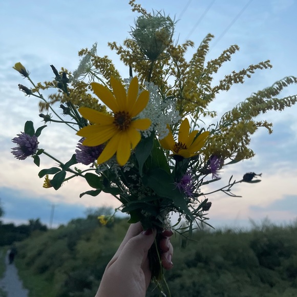 Meet your Posher, Ruth - Picture 1 of 1